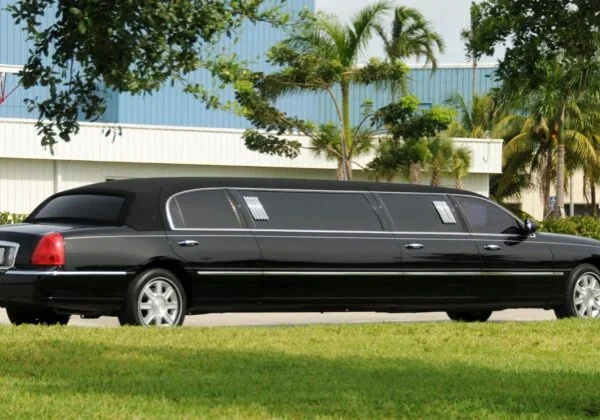 A black limo is parked in front of palm trees.