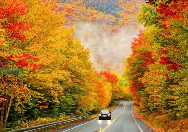 A car driving down the road in autumn.