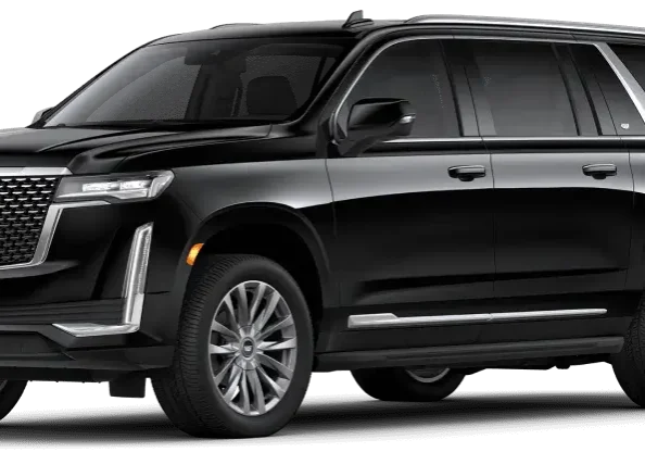 Group-1321316712 (2)