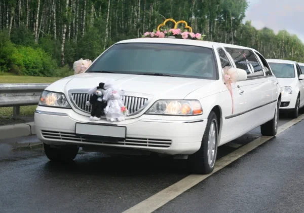 A white limo with two teddy bears on the back of it.